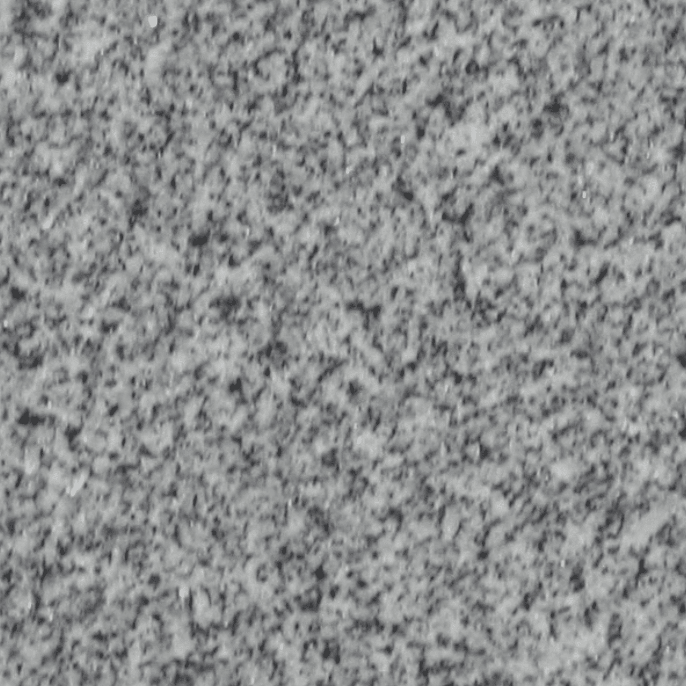 Georgia Gray granite — polished swatch from Texas Lonestar Monuments