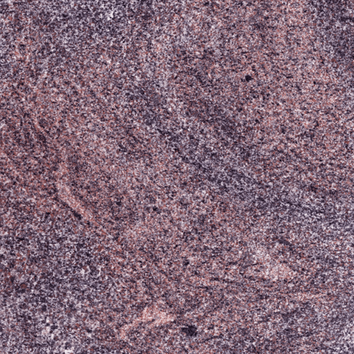 Paradiso granite — polished swatch from Texas Lonestar Monuments