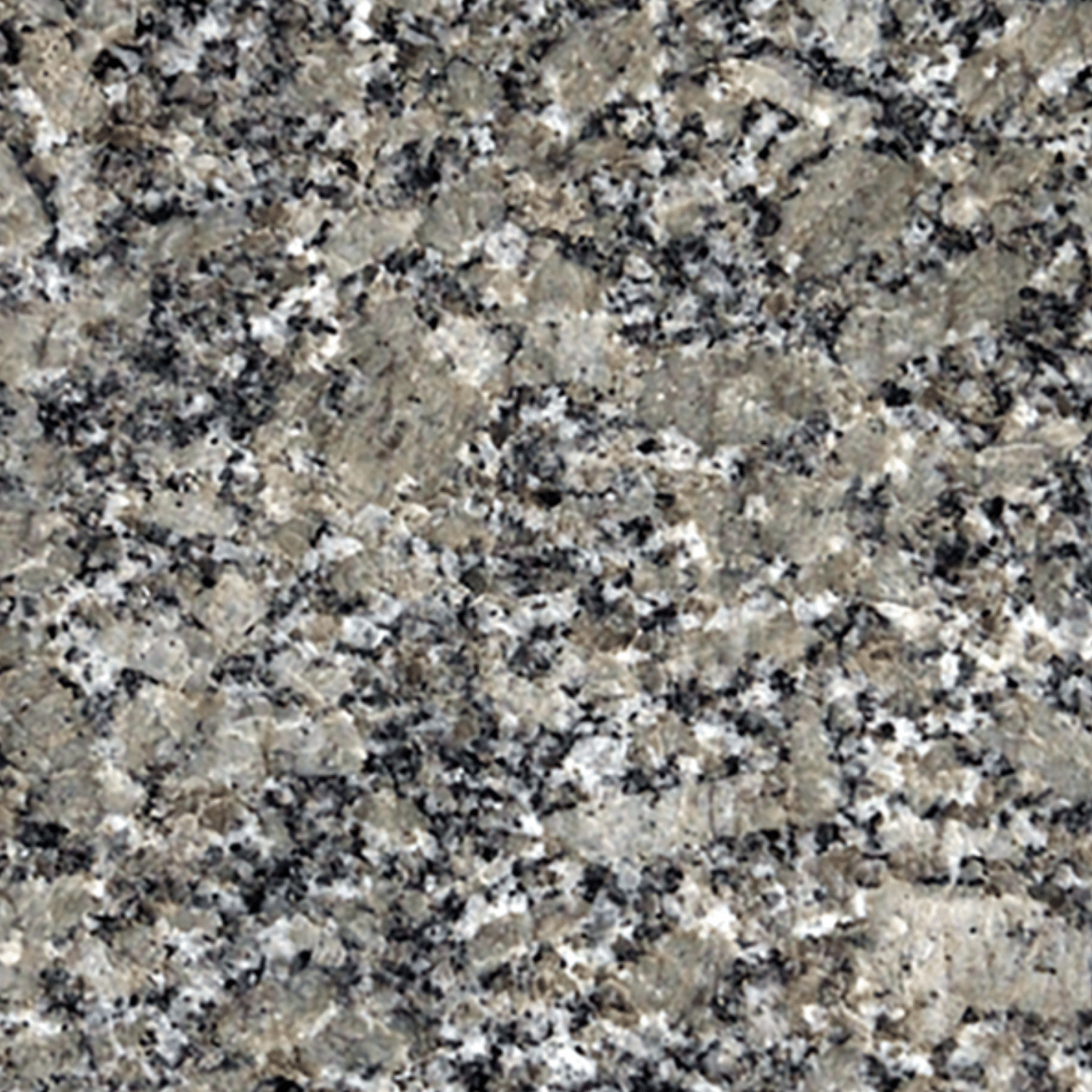 Pine Green granite — polished swatch from Texas Lonestar Monuments