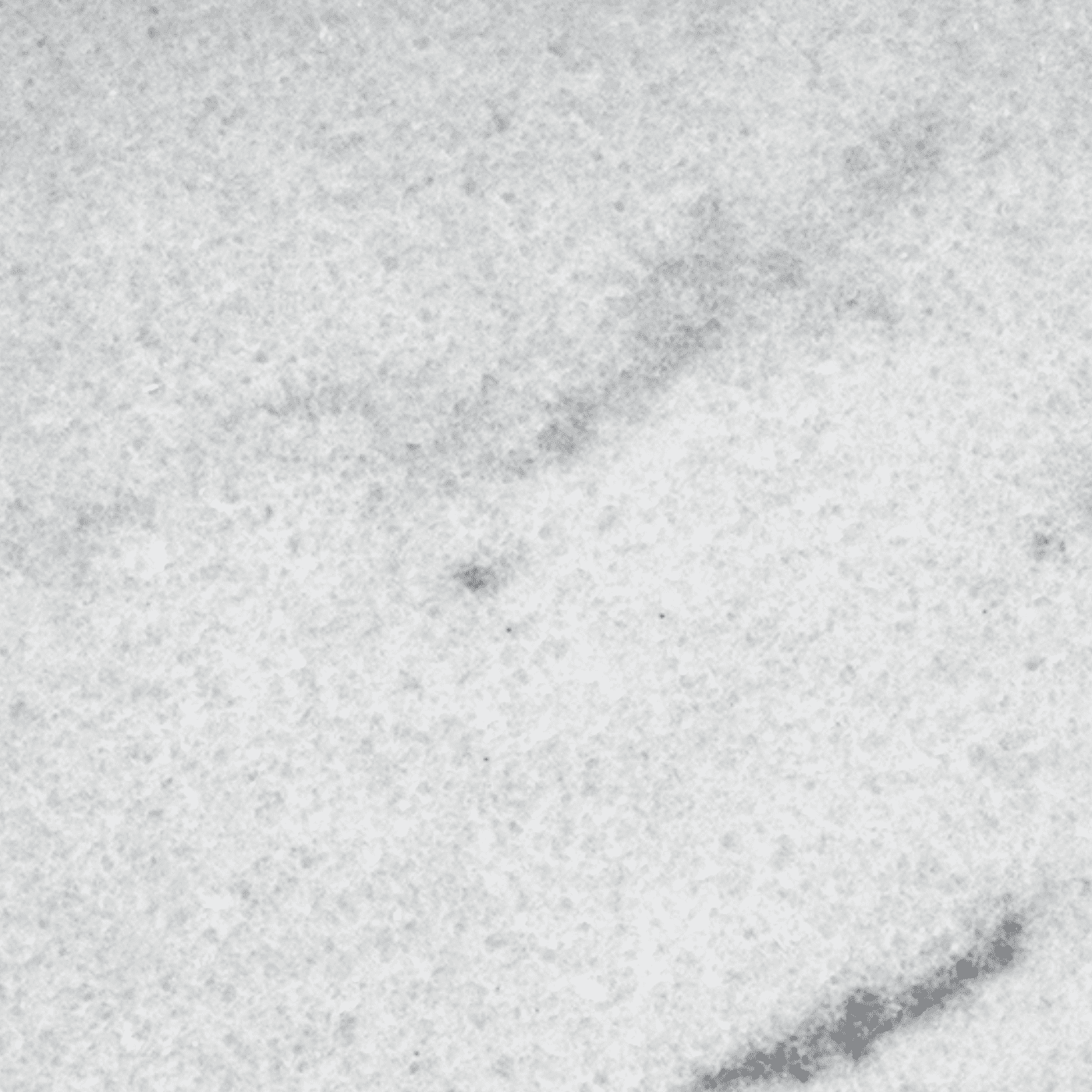 White Marble granite — polished swatch from Texas Lonestar Monuments